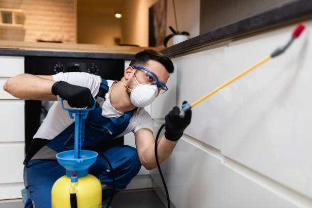 Best Pest Removal Services  in Lansing, IL