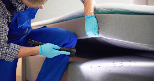 Best Insect Control  in Lansing, IL
