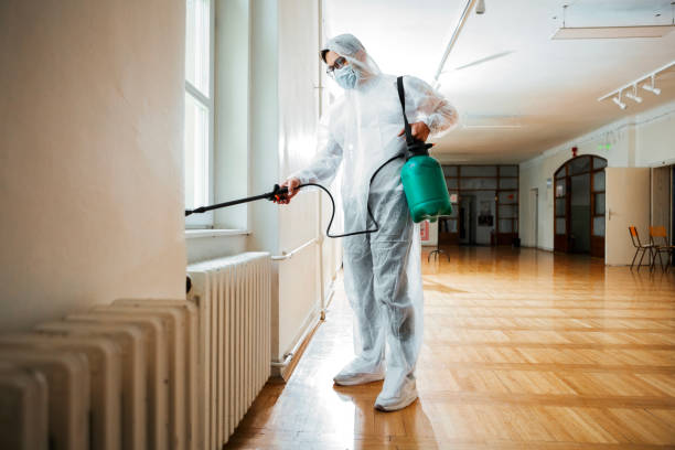 Best Wasp Removal Services  in Lansing, IL