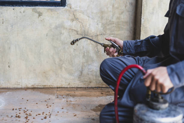 Best Pest Control Near Me in Lansing, IL