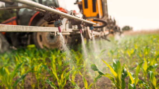 Best Ant Control Services  in Lansing, IL